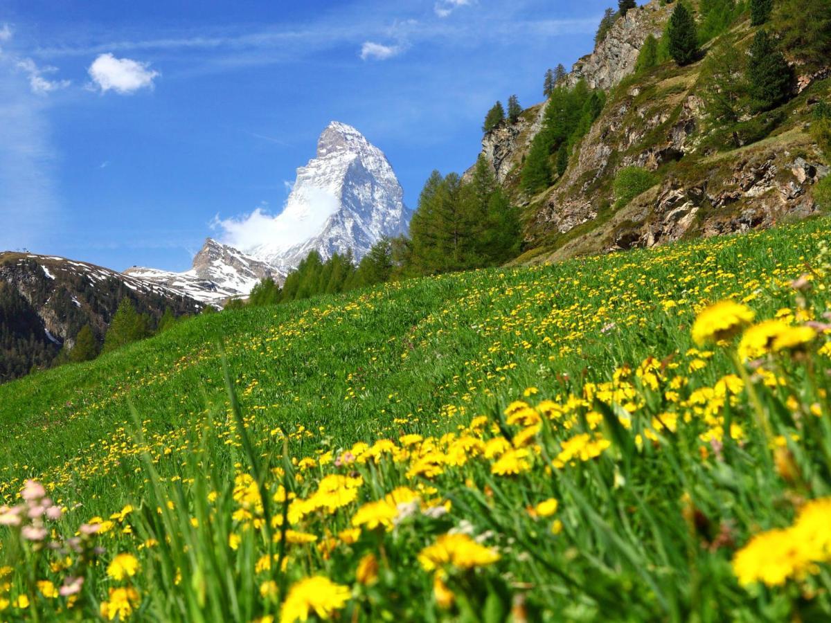Apartment La Prairie By Interhome Zermatt Buitenkant foto